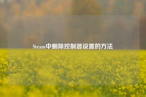 Steam中删除控制器设置的方法