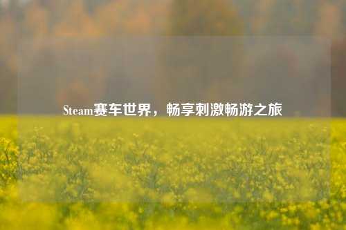 Steam赛车世界,畅享刺激畅游之旅