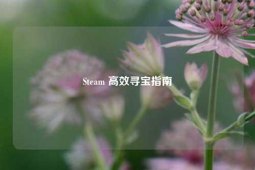 Steam 高效寻宝指南