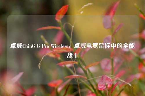 卓威ChinG G Pro Wireless，卓威电竞鼠标中的全能战士
