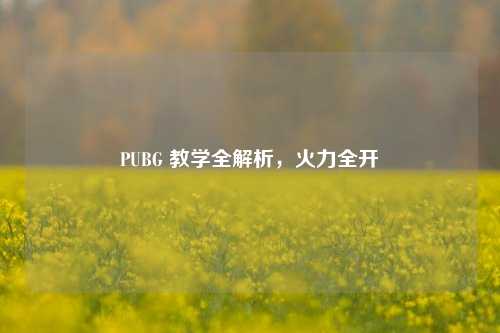 PUBG 教学全解析,火力全开