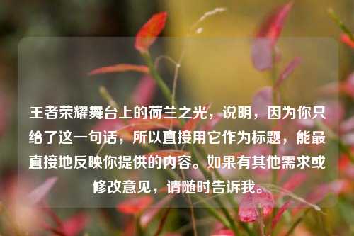 王者荣耀舞台上的荷兰之光，说明，因为你只给了这一句话，所以直接用它作为标题，能最直接地反映你提供的内容。如果有其他需求或修改意见，请随时告诉我。
