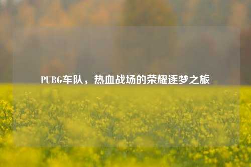 PUBG车队,热血战场的荣耀逐梦之旅