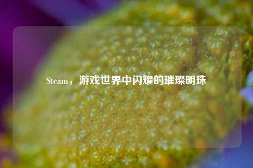 Steam,游戏世界中闪耀的璀璨明珠