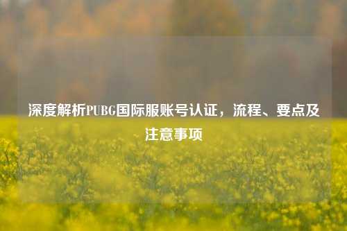 深度解析PUBG国际服账号认证,流程、要点及注意事项