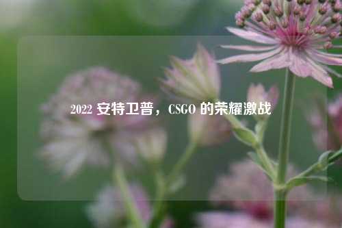 2022 安特卫普,CSGO 的荣耀激战