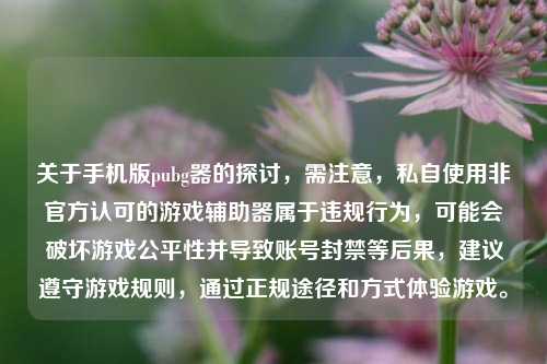 关于手机版pubg器的探讨,需注意,私自使用非官方认可的游戏辅助器属于违规行为,可能会破坏游戏公平性并导致账号封禁等后果,建议遵守游戏规则,通过正规途径和方式体验游戏。