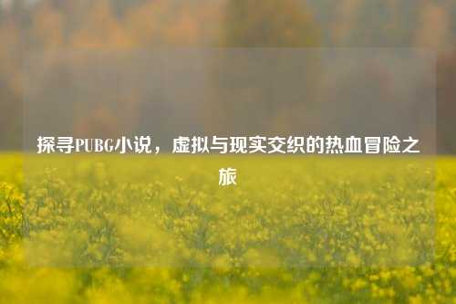 探寻PUBG小说,虚拟与现实交织的热血冒险之旅