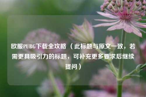 欧服PUBG下载全攻略 (此标题与原文一致,若需更具吸引力的标题,可补充更多要求后继续提问)