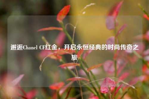 邂逅Chanel CF红金,开启永恒经典的时尚传奇之旅