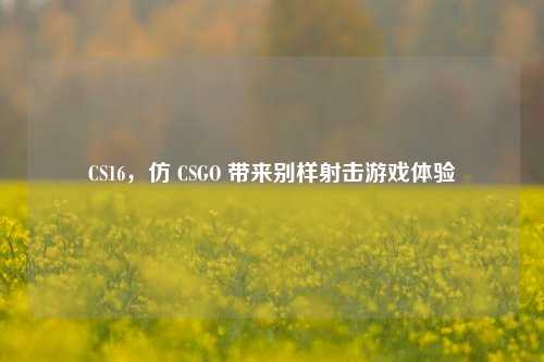CS16,仿 CSGO 带来别样射击游戏体验