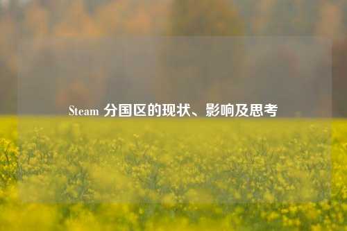 Steam 分国区的现状、影响及思考