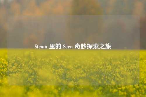 Steam 里的 Seen 奇妙探索之旅