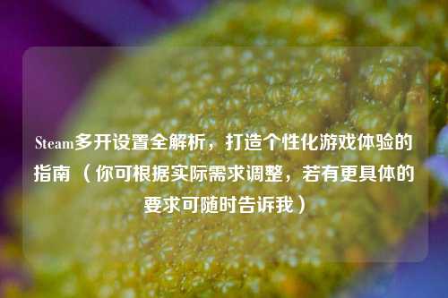 Steam多开设置全解析,打造个性化游戏体验的指南 (你可根据实际需求调整,若有更具体的要求可随时告诉我)