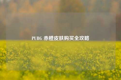 PUBG 赤橙皮肤购买全攻略