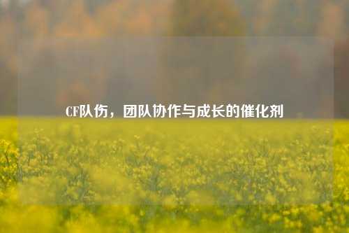 CF队伤,团队协作与成长的催化剂