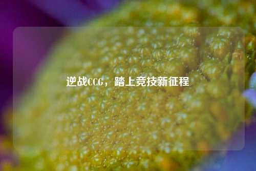 逆战CCG,踏上竞技新征程
