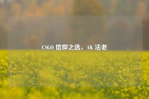 CSGO 信仰之选,AK 法老