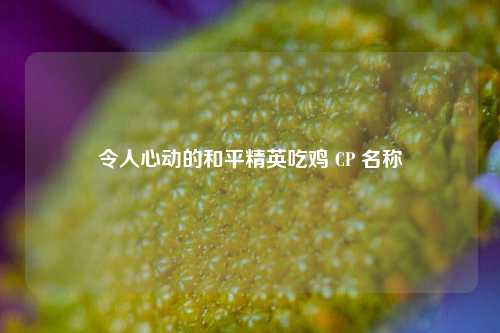 令人心动的和平精英吃鸡 CP 名称