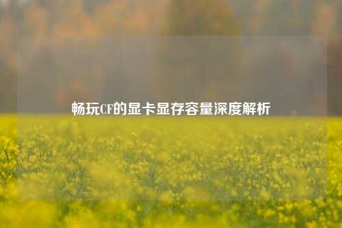 畅玩CF的显卡显存容量深度解析