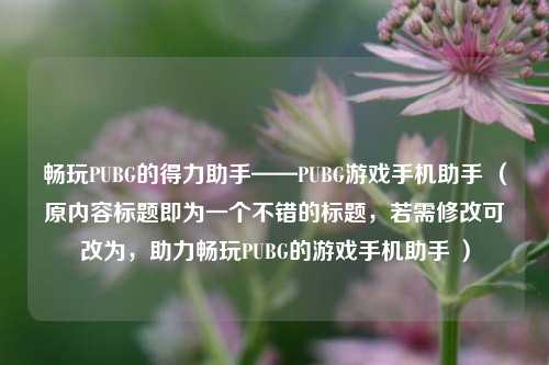 畅玩PUBG的得力助手——PUBG游戏手机助手 (原内容标题即为一个不错的标题,若需修改可改为,助力畅玩PUBG的游戏手机助手 )