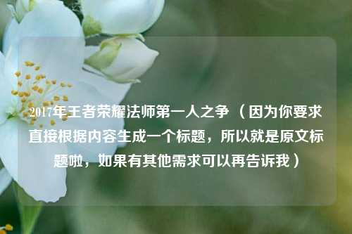 2017年王者荣耀法师之一人之争 (因为你要求直接根据内容生成一个标题,所以就是原文标题啦,如果有其他需求可以再告诉我)