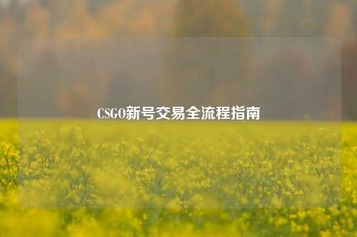CSGO新号交易全流程指南