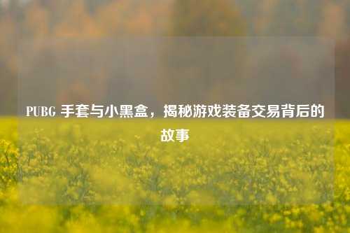 PUBG 手套与小黑盒,揭秘游戏装备交易背后的故事