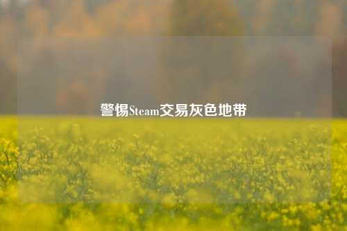 警惕Steam交易灰色地带