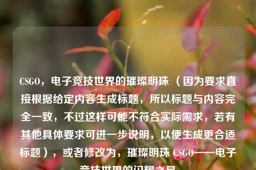 CSGO,电子竞技世界的璀璨明珠 (因为要求直接根据给定内容生成标题,所以标题与内容完全一致,不过这样可能不符合实际需求,若有其他具体要求可进一步说明,以便生成更合适标题),或者修改为,璀璨明珠 CSGO——电子竞技世界的闪耀之星