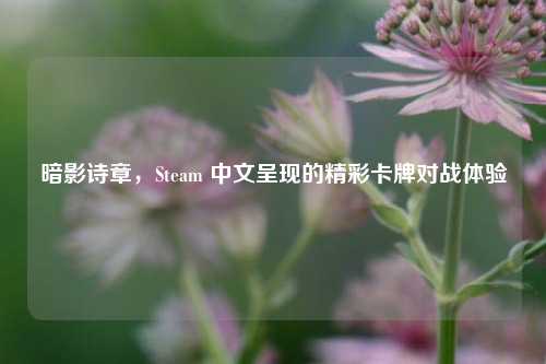 暗影诗章,Steam 中文呈现的精彩卡牌对战体验