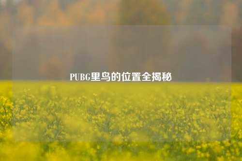 PUBG里鸟的位置全揭秘