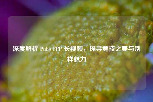 深度解析 Pubg FPP 长视频,探寻竞技之美与别样魅力