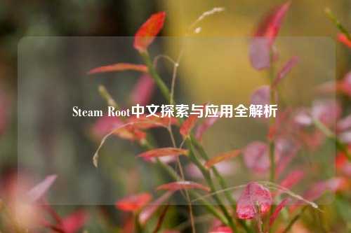 Steam Root中文探索与应用全解析