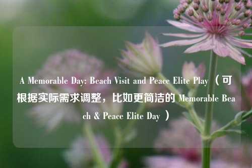 A Memorable Day: Beach Visit and Peace Elite Play (可根据实际需求调整,比如更简洁的 Memorable Beach & Peace Elite Day )