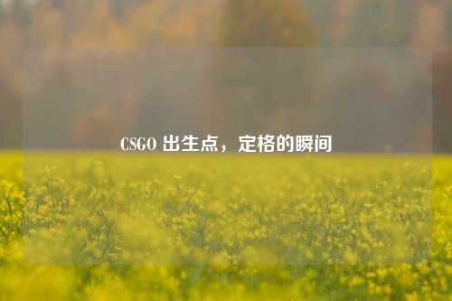 CSGO 出生点,定格的瞬间
