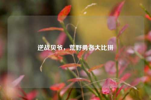 逆战贝爷,荒野勇者大比拼