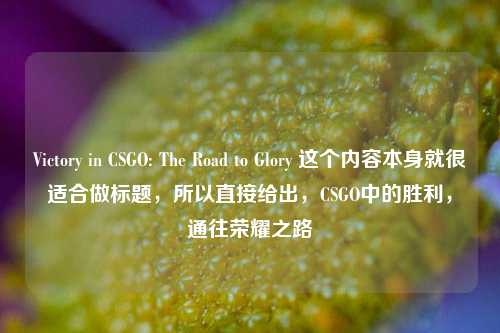 Victory in CSGO: The Road to Glory 这个内容本身就很适合做标题,所以直接给出,CSGO中的胜利,通往荣耀之路