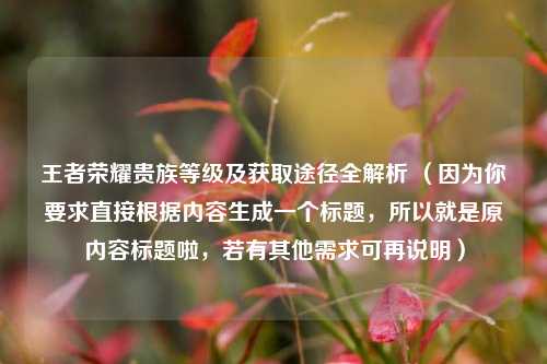 王者荣耀贵族等级及获取途径全解析 (因为你要求直接根据内容生成一个标题,所以就是原内容标题啦,若有其他需求可再说明)