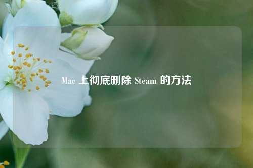 Mac 上彻底删除 Steam 的 ***