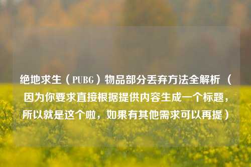 绝地求生(PUBG)物品部分丢弃 *** 全解析 (因为你要求直接根据提供内容生成一个标题,所以就是这个啦,如果有其他需求可以再提)