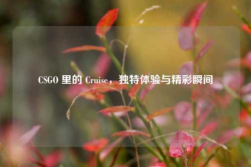 CSGO 里的 Cruise,独特体验与精彩瞬间
