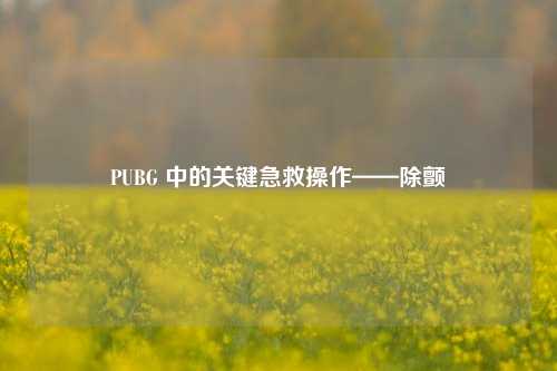 PUBG 中的关键急救操作——除颤