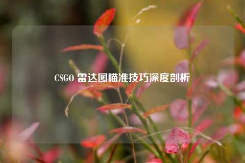 CSGO 雷达图瞄准技巧深度剖析