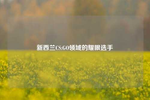 新西兰CS:GO领域的耀眼选手