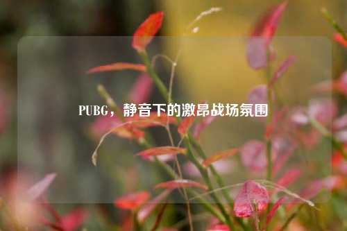 PUBG,静音下的激昂战场氛围