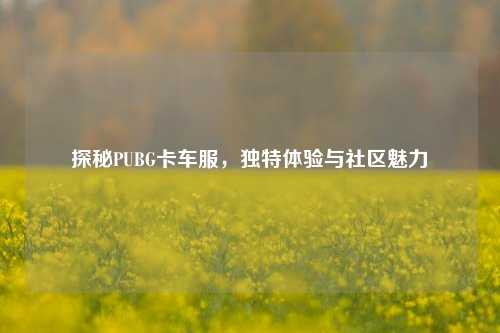 探秘PUBG卡车服,独特体验与社区魅力