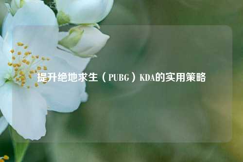 提升绝地求生(PUBG)KDA的实用策略