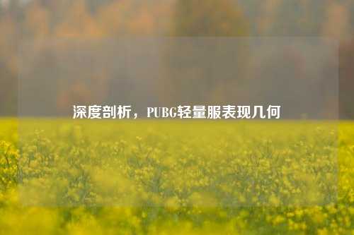 深度剖析,PUBG轻量服表现几何