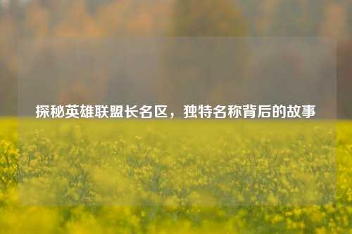 探秘英雄联盟长名区,独特名称背后的故事
